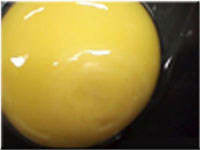 Egg candling view on day 3