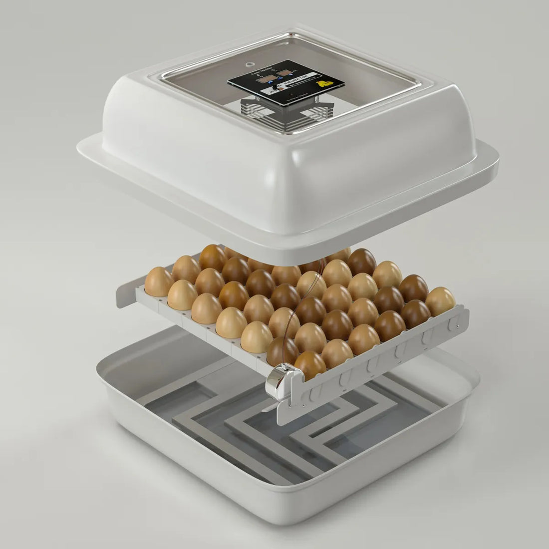 Chicken Egg Incubator – Golden Model (Up to 50 Eggs)