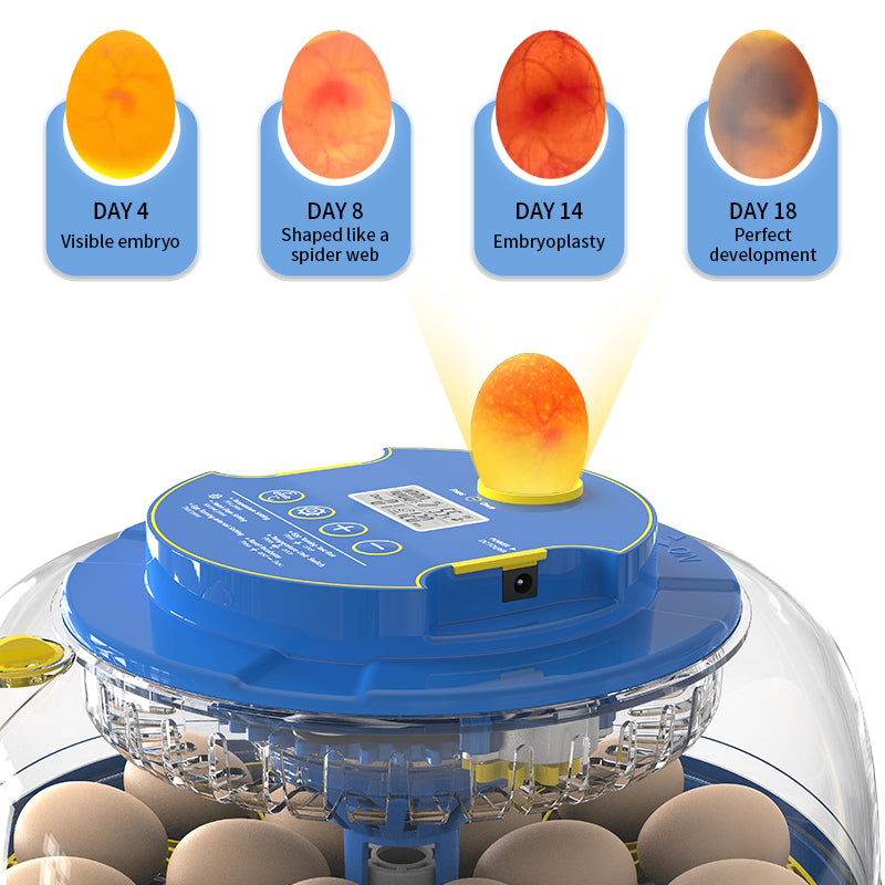 Incubadora Automática WONEGG para 18 Ovos com Ovoscópio Integrado
