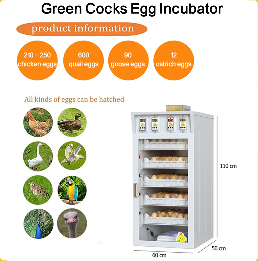 Incubateur d’œufs de poule – Modèle Green (jusqu’à 250 œufs)
