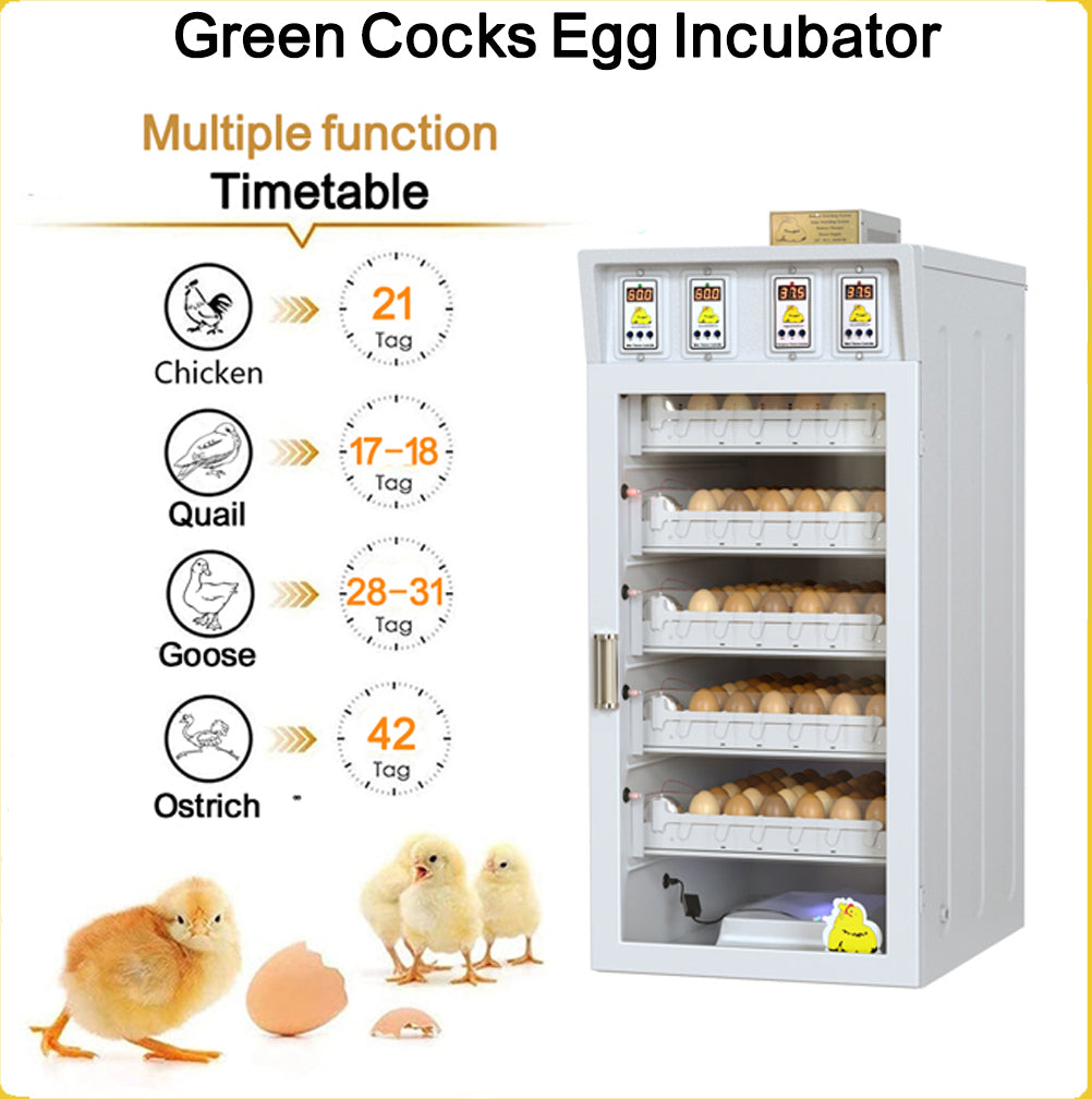 Incubateur d’œufs de poule – Modèle Green (jusqu’à 250 œufs)
