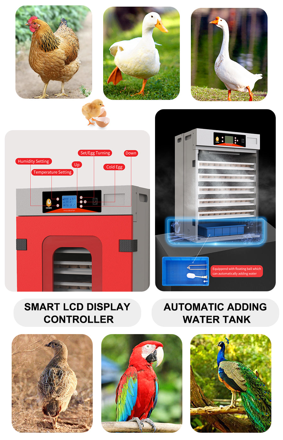 Incubateur automatique pour volailles WONEGG de 400 œufs