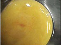 Egg candling view on day 5