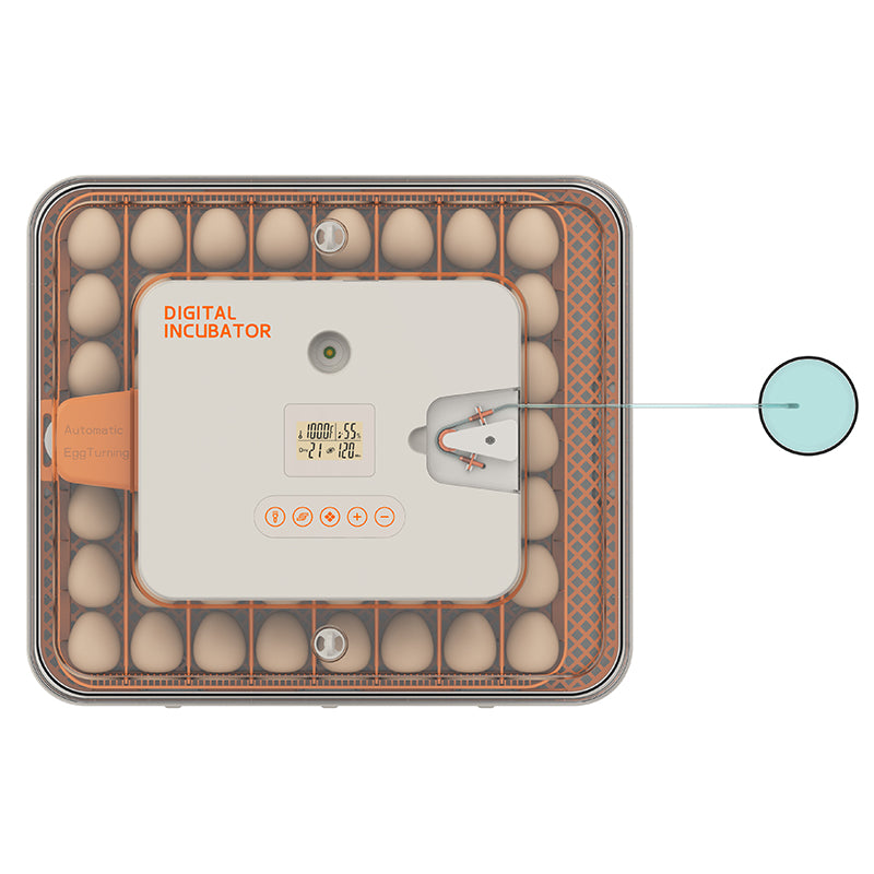 Chocadeira Automática WONEGG para 56 Ovos com Controle de Umidade