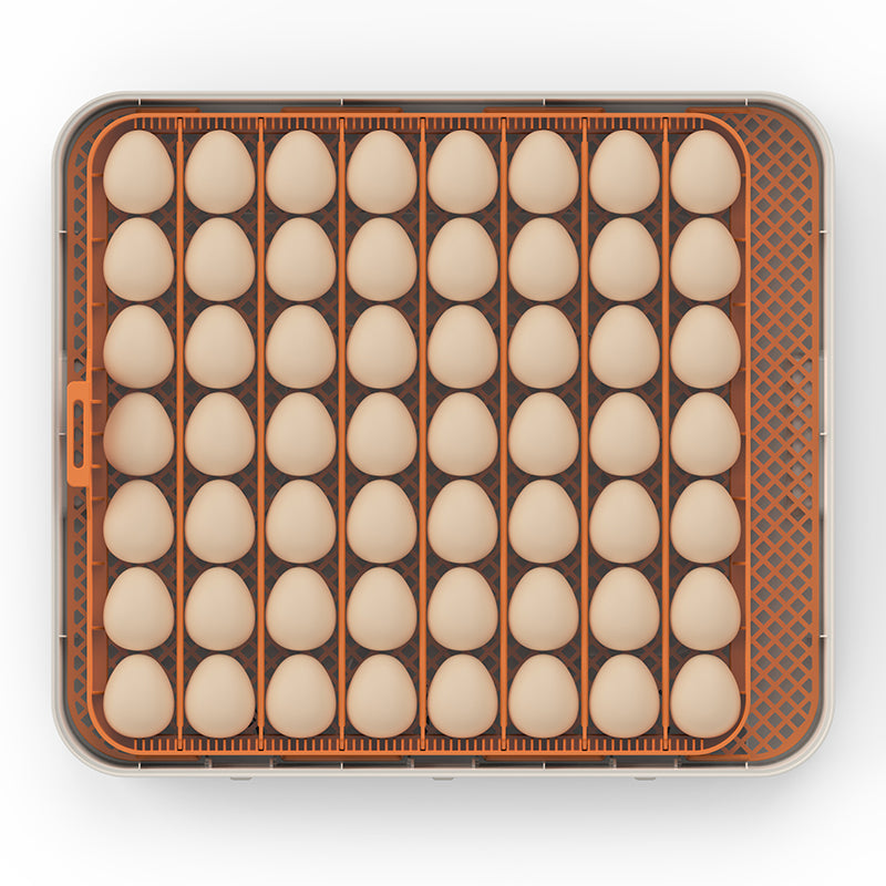Chocadeira Automática WONEGG para 56 Ovos com Controle de Umidade