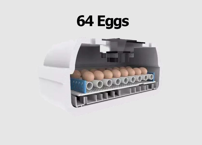 Golden G2 - 64 eggs  (All types of egg ) front  view