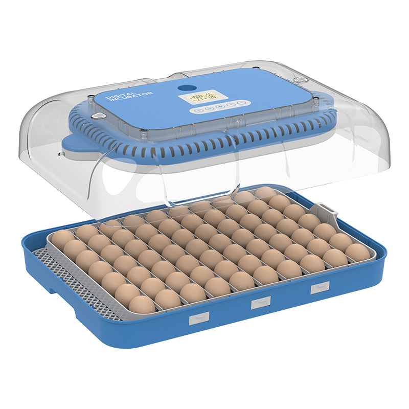 Couveuse automatique WONEGG 70 œufs avec contrôle de l'humidité
