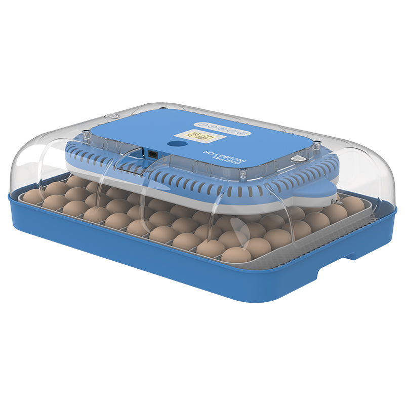 Couveuse automatique WONEGG 70 œufs avec contrôle de l'humidité
