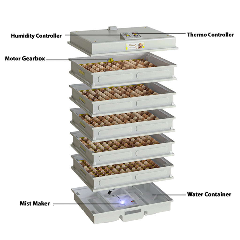chicken Hatchery system with labeled components on a white background