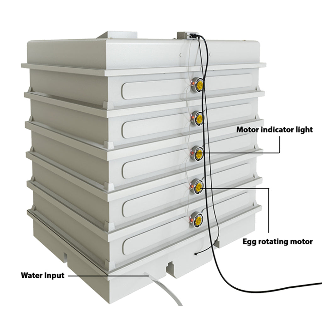فقاسة بيض الدجاج بنظام طبقات معياري – سعة من مئة وعشرين إلى ألف ومئتي بيضة
