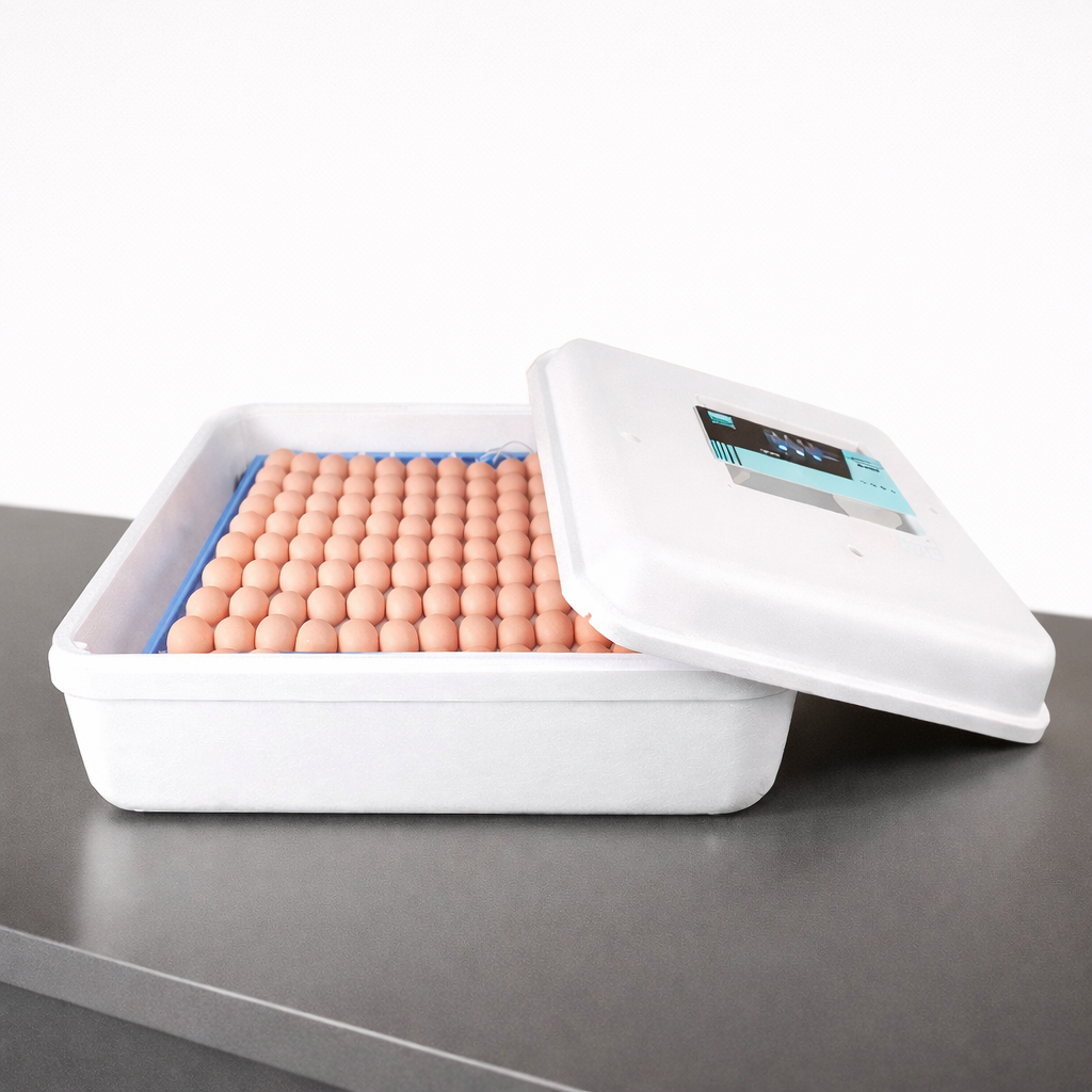 حاضنة بيض لجميع الأنواع – الذهبي G2 – سعة أربعٍ وستين بيضة