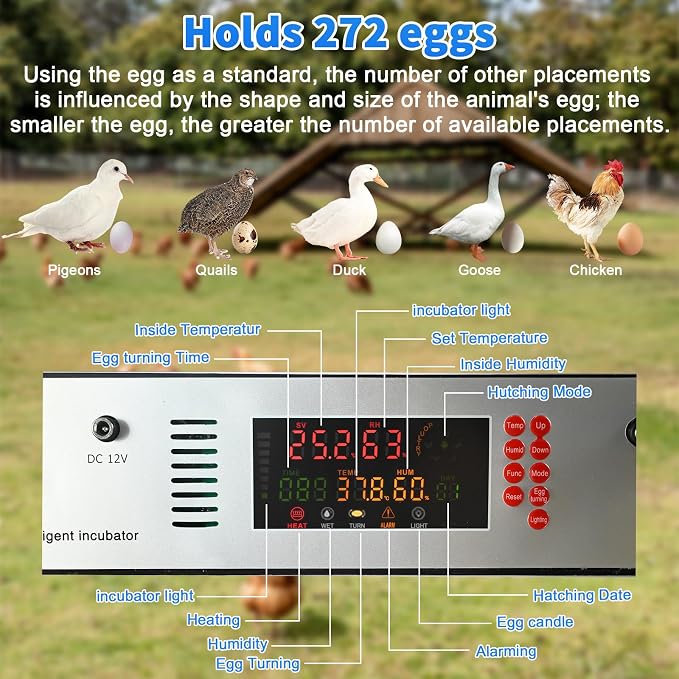 70 œufs / 420 œufs Incubateur automatique avec système de retournement des œufs