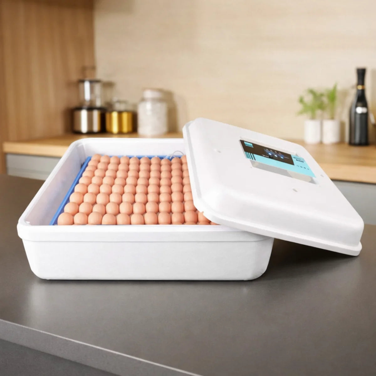 All kinds of eggs Incubator - Golden G2 - 64 eggs