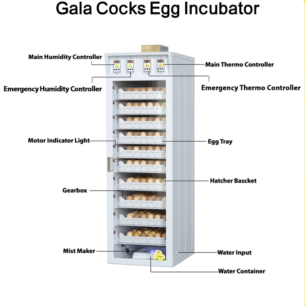 فقاسة بيض الدجاج – طراز غالا بسعة تصل إلى خمسمئة بيضة
