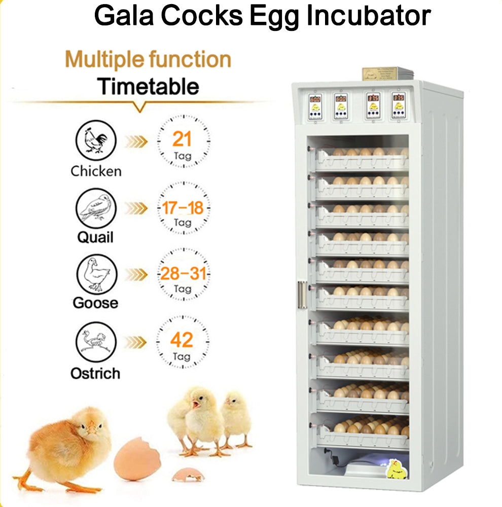 فقاسة بيض الدجاج – طراز غالا بسعة تصل إلى خمسمئة بيضة
