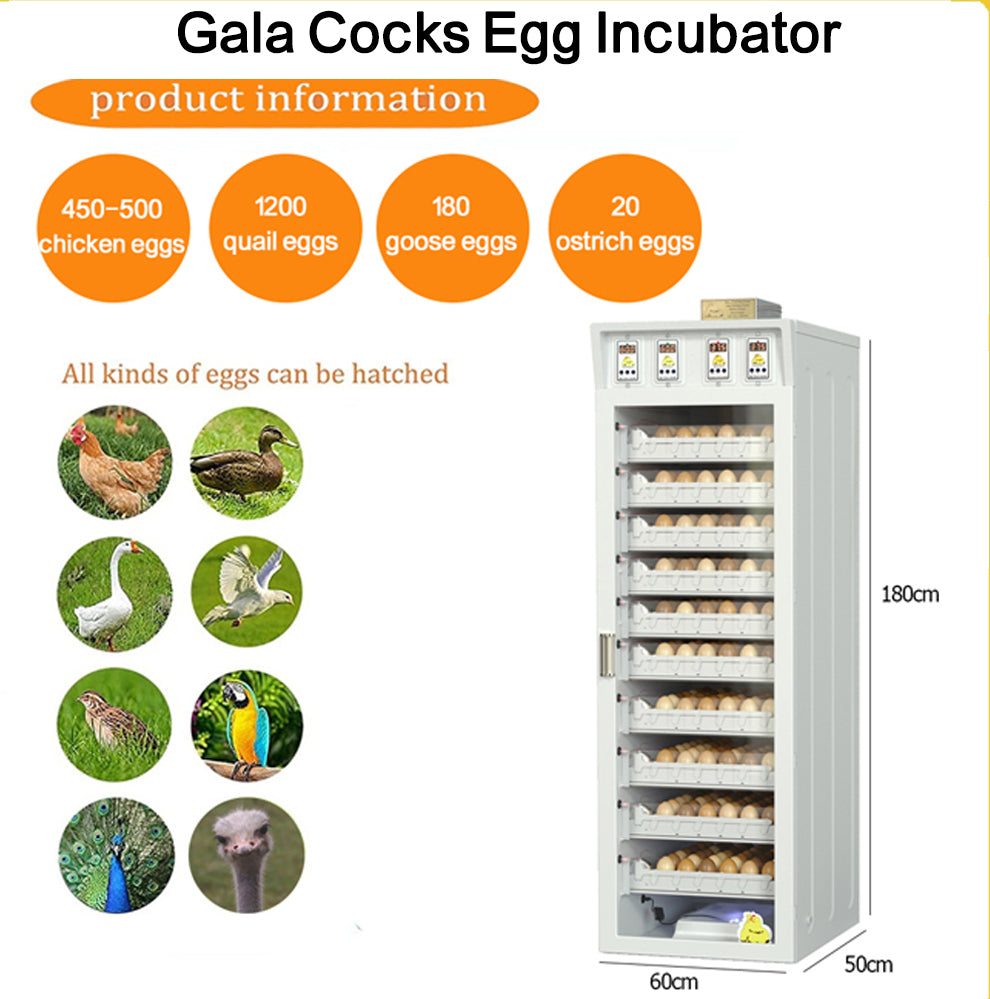 فقاسة بيض الدجاج – طراز غالا بسعة تصل إلى خمسمئة بيضة
