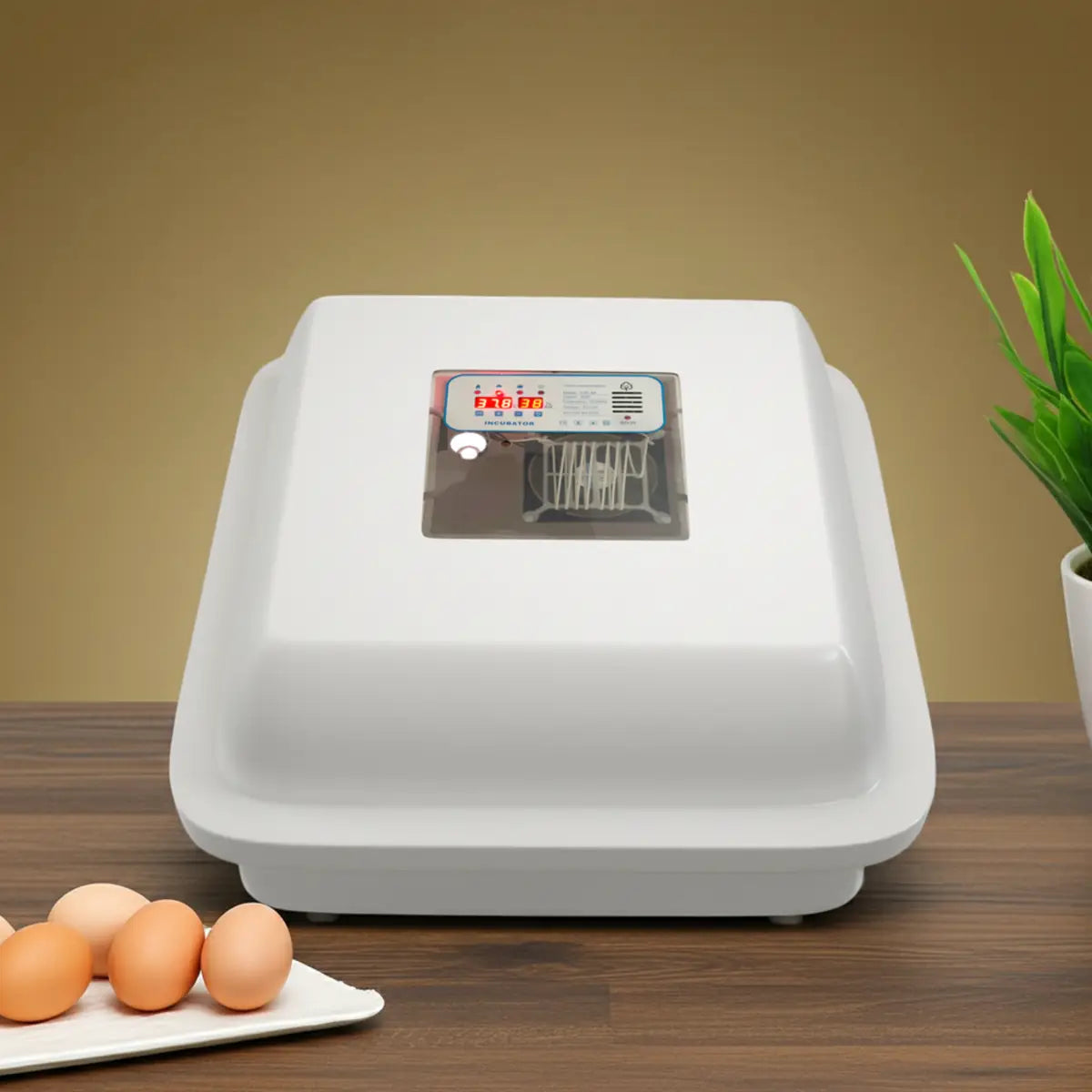 Egg Incuator - Golden G1 - 56 eggs (Only Chicken Egg)