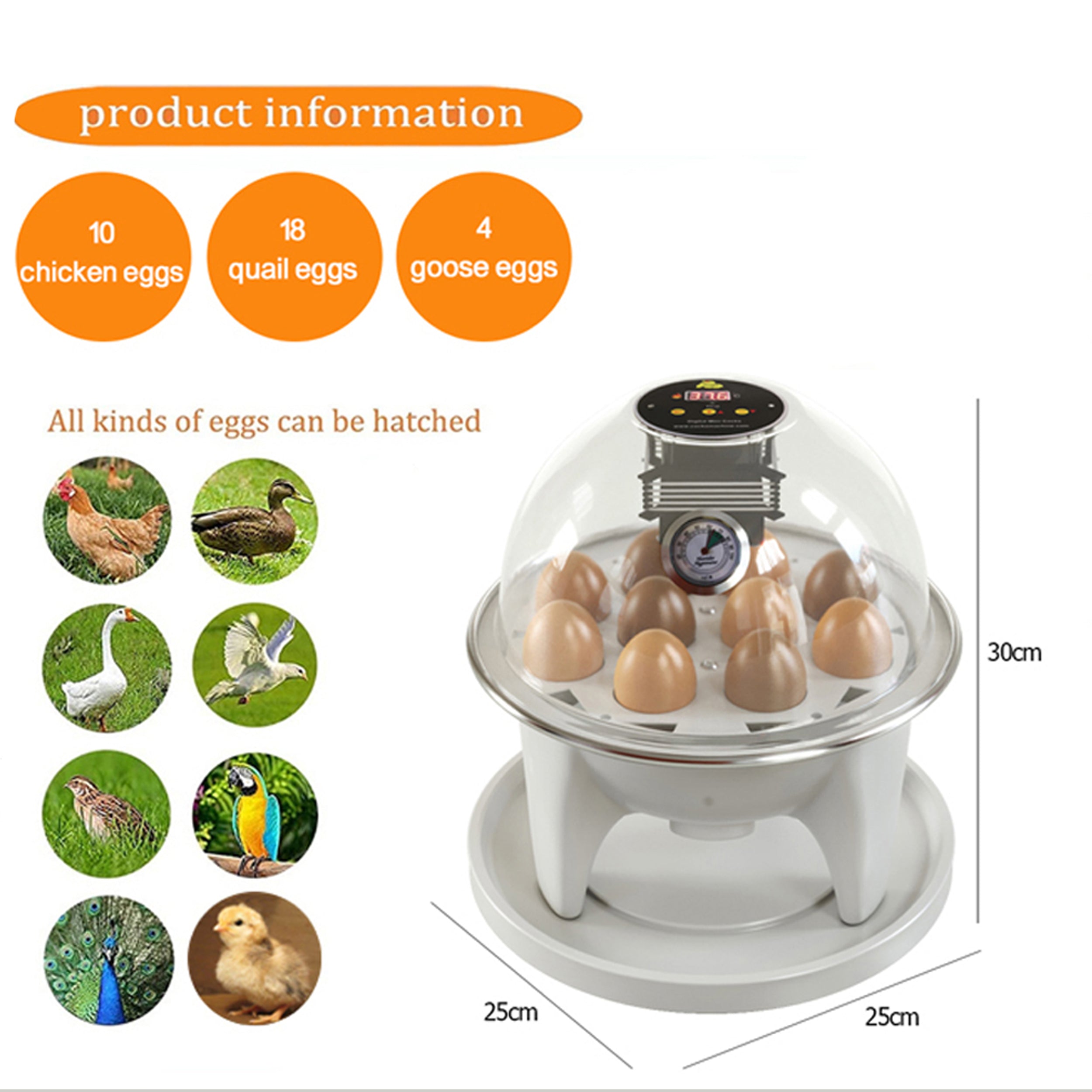 Mini incubateur à œufs avec contrôle automatique de la température et retournement manuel
