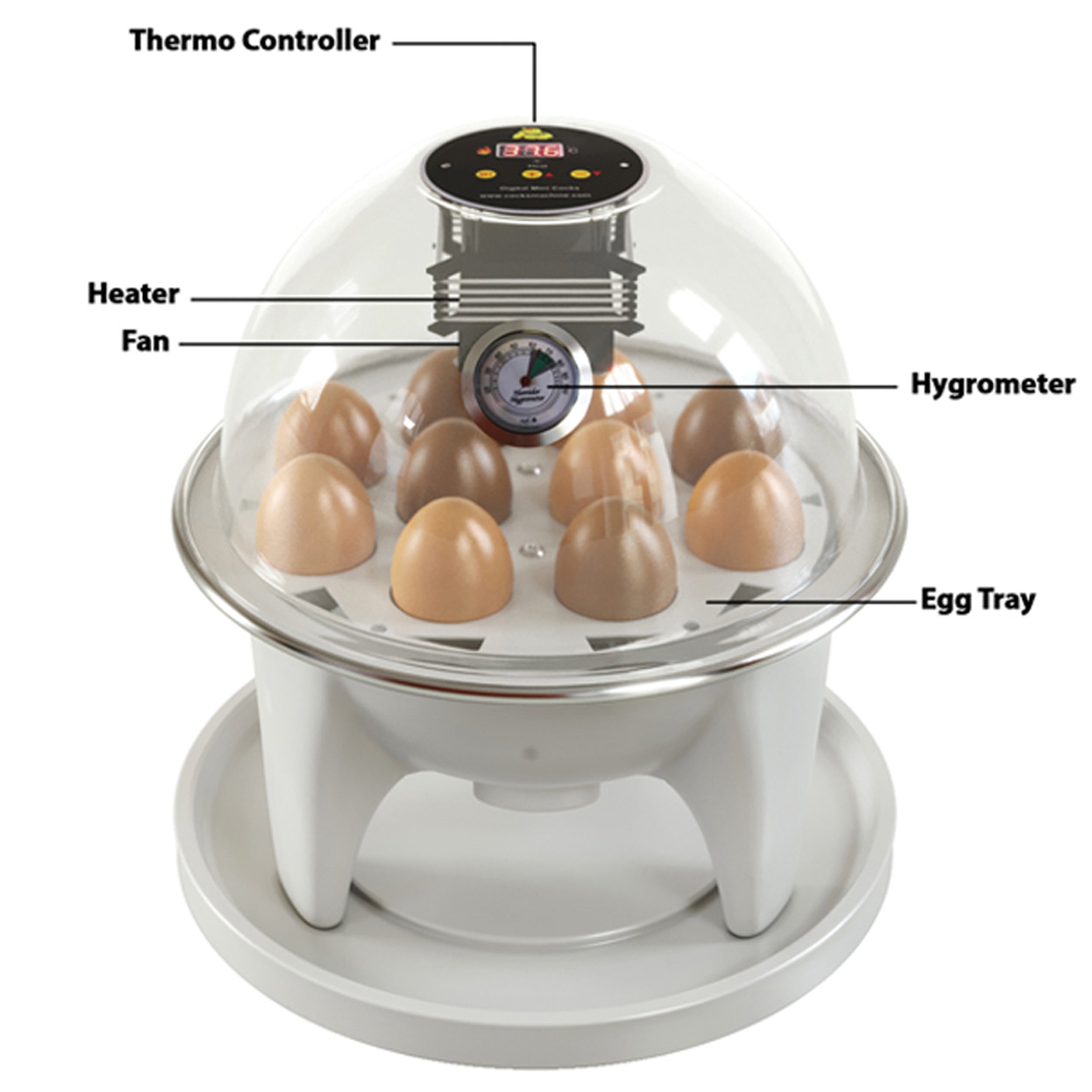 Mini incubateur à œufs avec contrôle automatique de la température et retournement manuel

