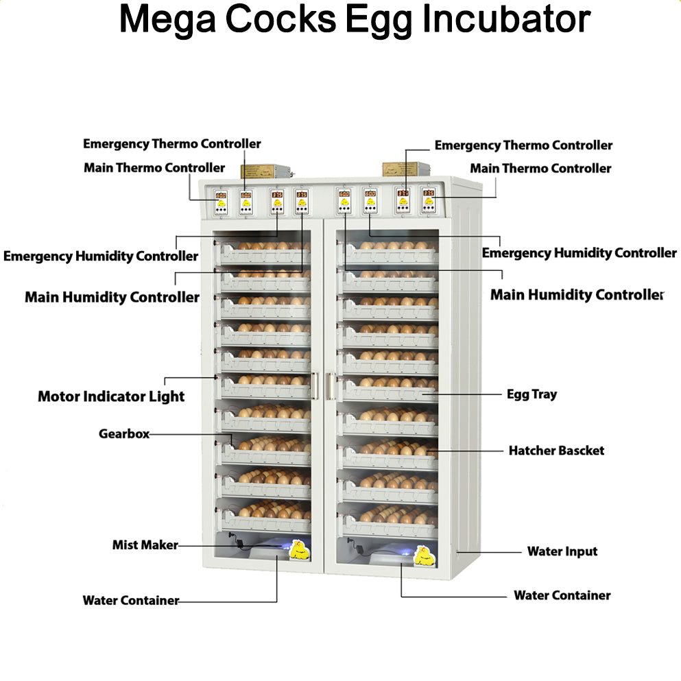 فقاسة بيض الدجاج – طراز ميغا بسعة تصل إلى ألف بيضة
