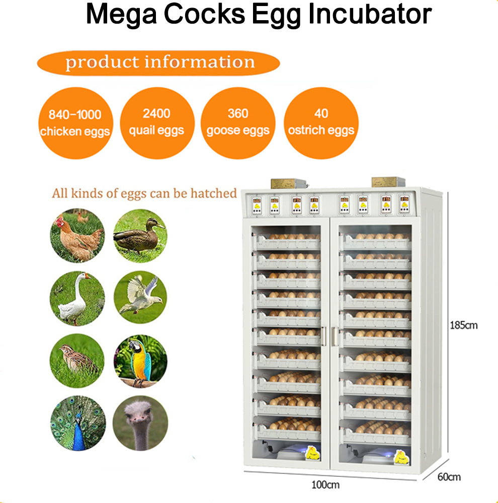 فقاسة بيض الدجاج – طراز ميغا بسعة تصل إلى ألف بيضة
