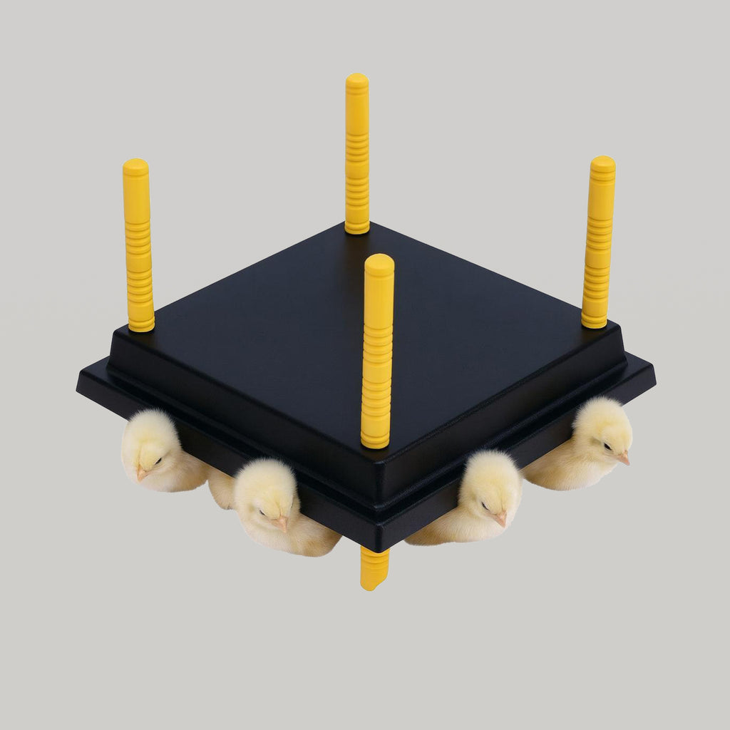 Mère artificielle – éleveuse extérieure pour poussins et petits oiseaux
