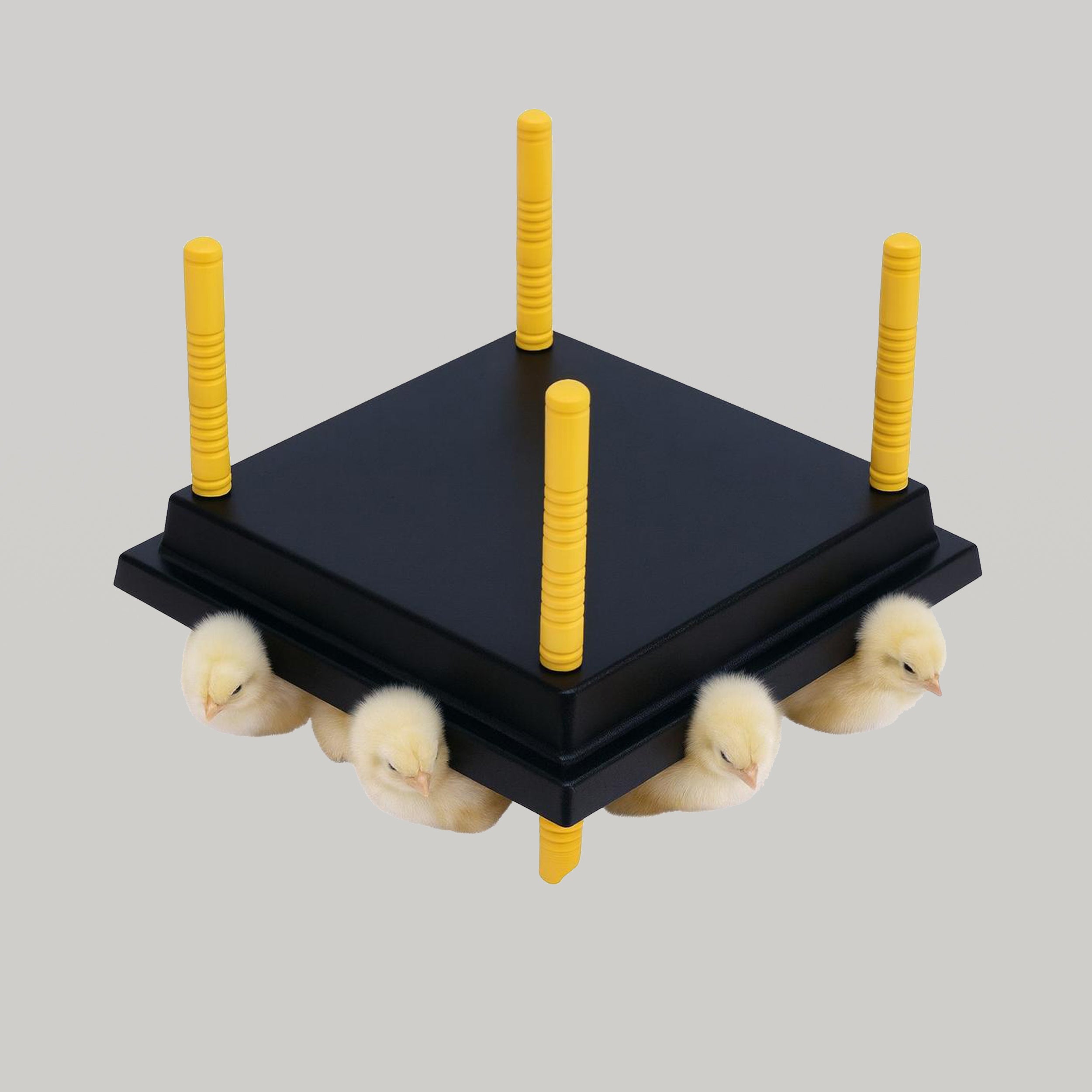 أم صناعية – حاضنة خارجية للكتاكيت والطيور الصغيرة
