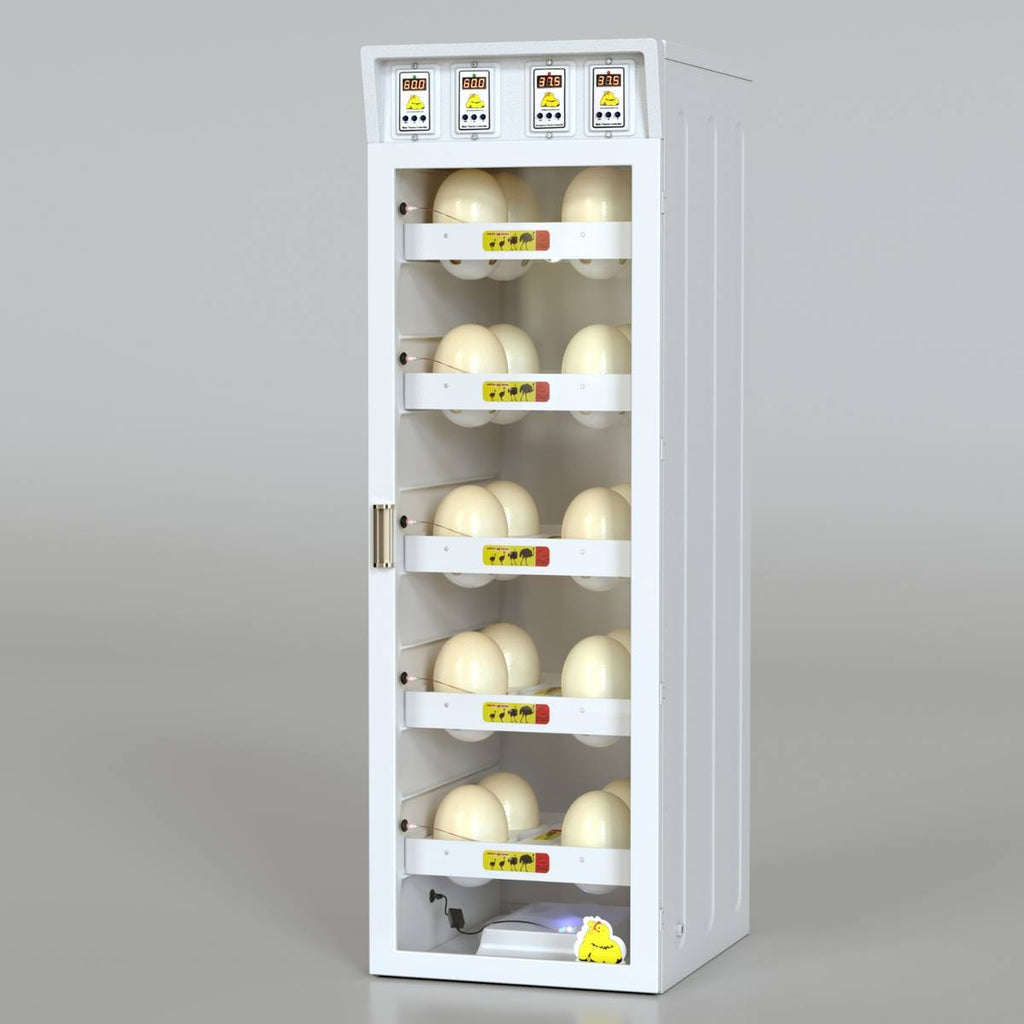Ostrich Egg Incubator – Gala Model 20 Eggs