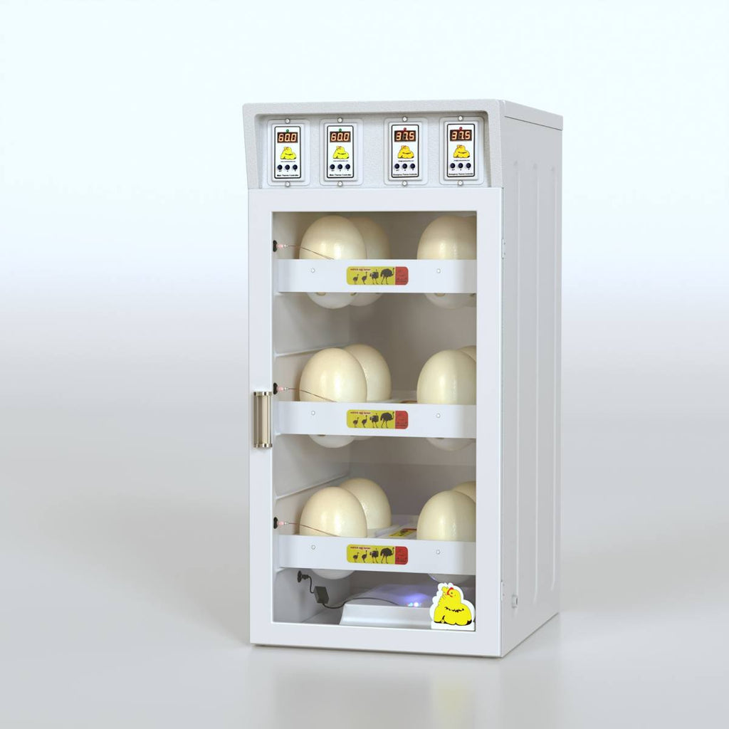 Ostrich Egg Incubator – Green Model 12 Eggs