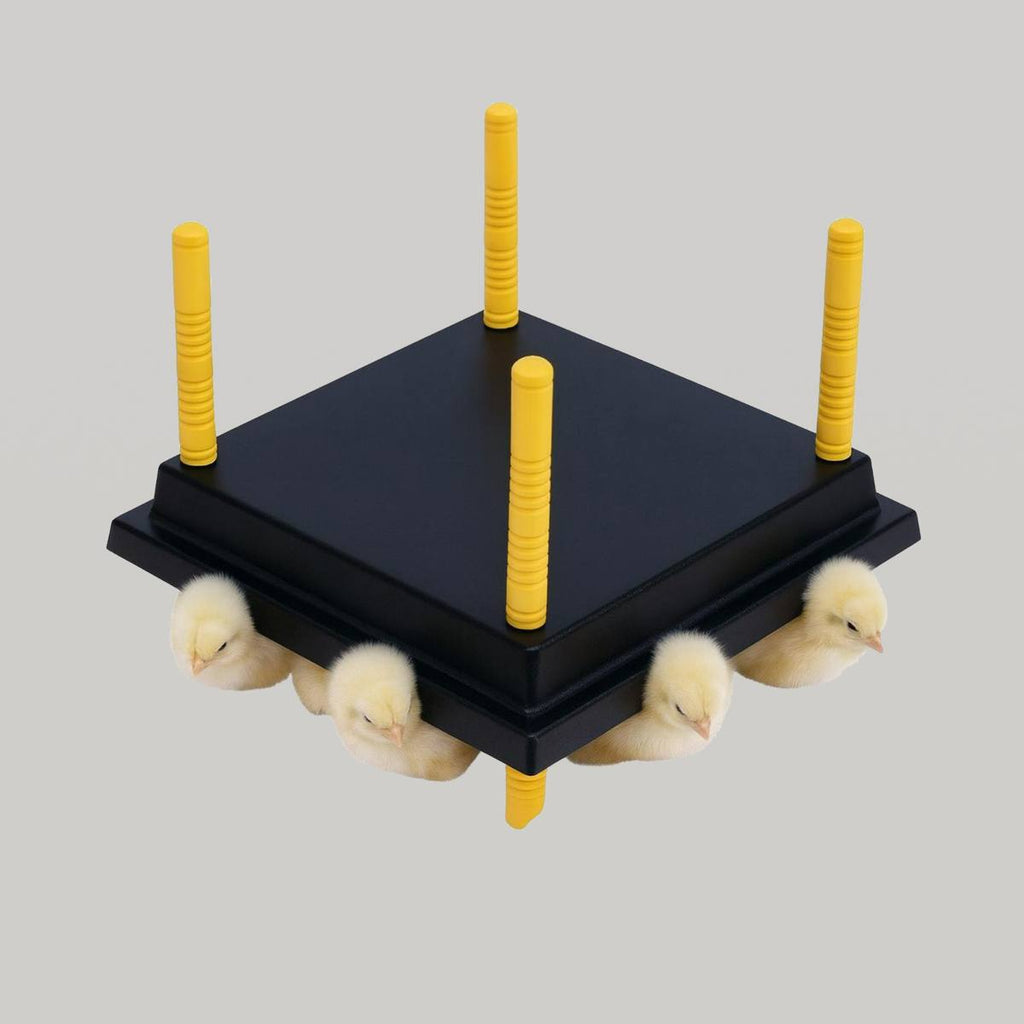 Artificial Mother – Outdoor Brooder for Chicks & Small Birds