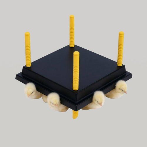 Artificial Mother – Outdoor Brooder for Chicks & Small Birds