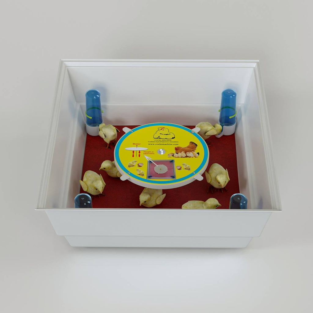 Artificial Mother – Indoor Brooder for Chicks & Small Birds