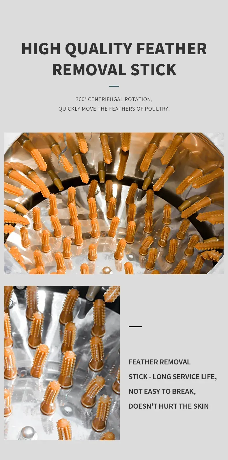 Plumeuse à volaille en acier inoxydable pour poulets et cailles