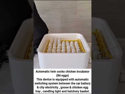 Chicken Egg Incubator – Twin Model (Up to 100 Eggs) training video
