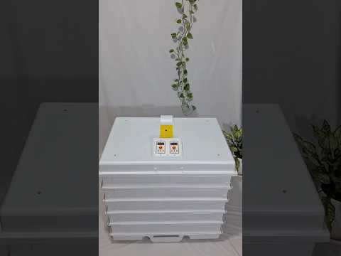 Chicken Egg Incubator – Modular Layer System (120–1200 Egg Capacity)