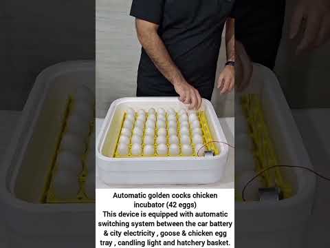 Chicken Egg Incubator – Golden Model (Up to 50 Eggs) training video