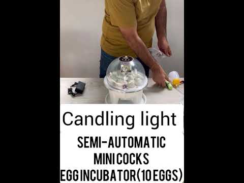 Mini Egg Incubator – Lever Turn System - Automatic Temperature (10 Eggs) training video