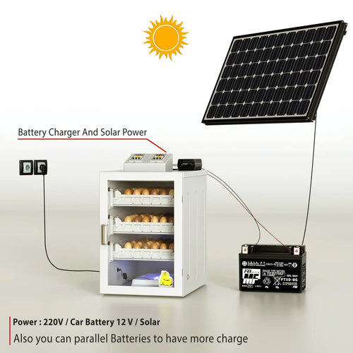 Solar panel charging a battery with a refrigerator and eggs on a white background