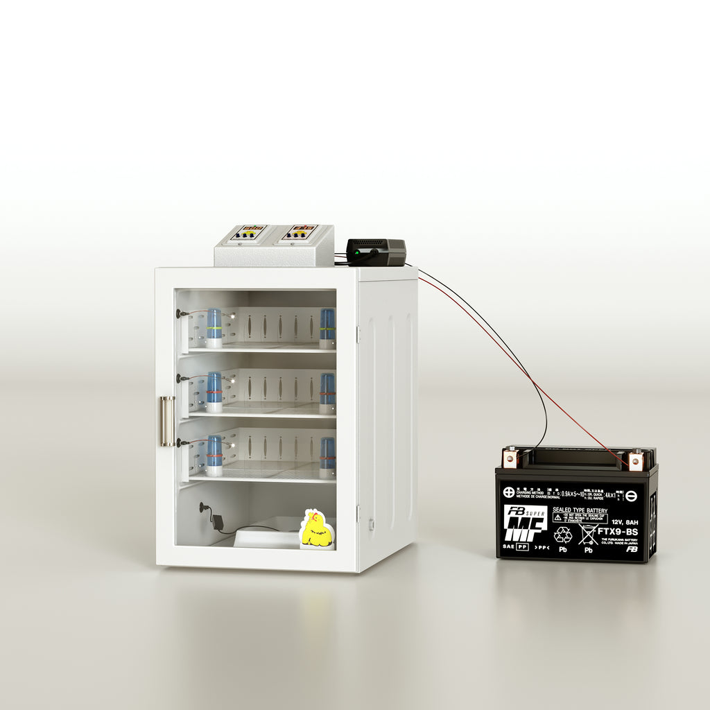 برودر كتاكيت مع أم صناعية بسعة مدمجة حتى مائة وعشرين كتكوتاً
