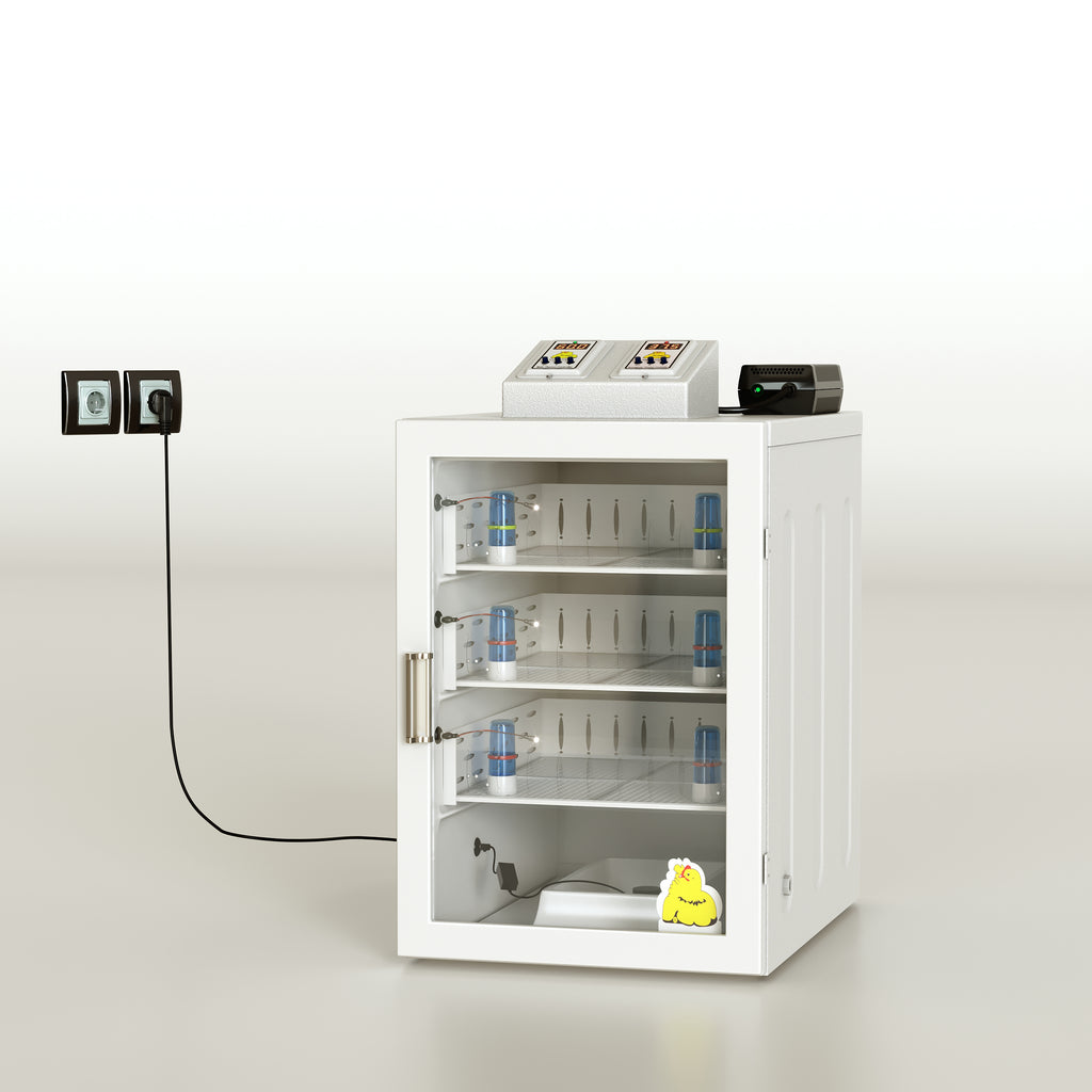 برودر كتاكيت مع أم صناعية بسعة مدمجة حتى مائة وعشرين كتكوتاً
