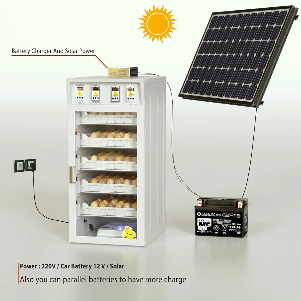 Chicken Egg Incubator – Green Model (Up to 250 Eggs) with solar panel