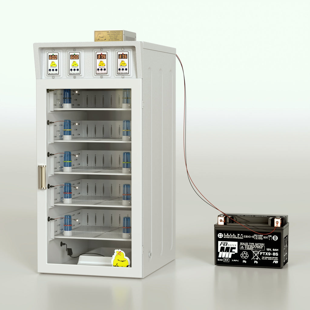 برودر كتاكيت مع أم صناعية بسعة متوسطة حتى مائة وخمسين كتكوتاً
