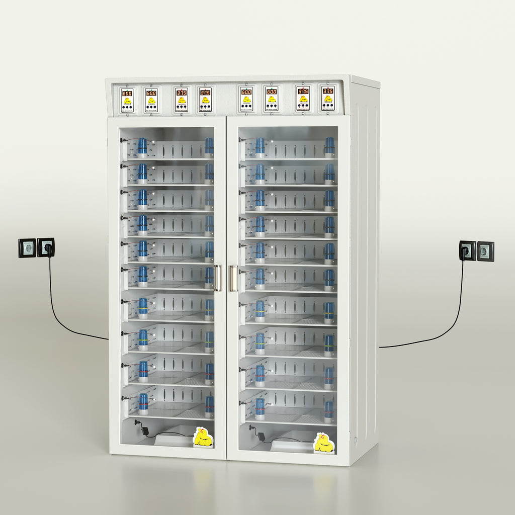 برودر كتاكيت مع أم صناعية بسعة عالية حتى ستمائة كتكوت
