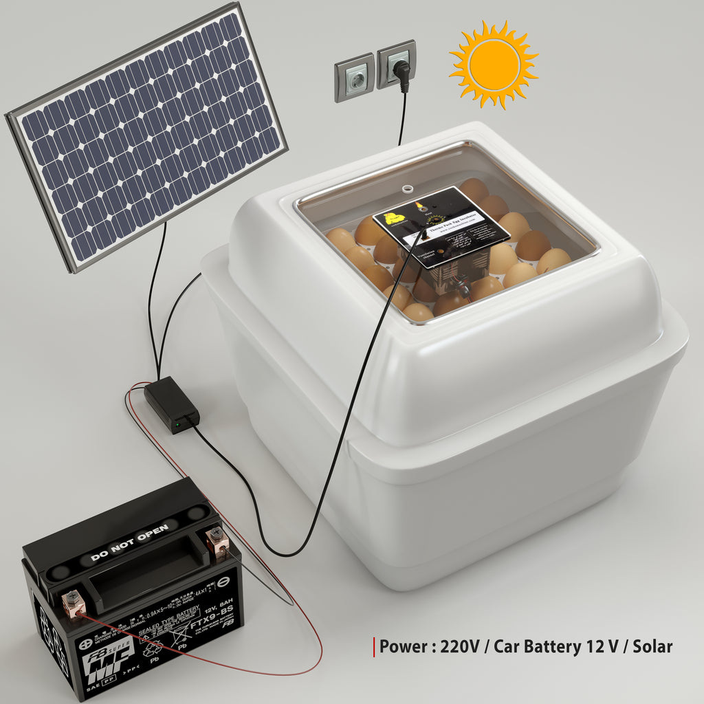 فقاسة بيض النعام – الطراز المزدوج بسعة أربع بيضات