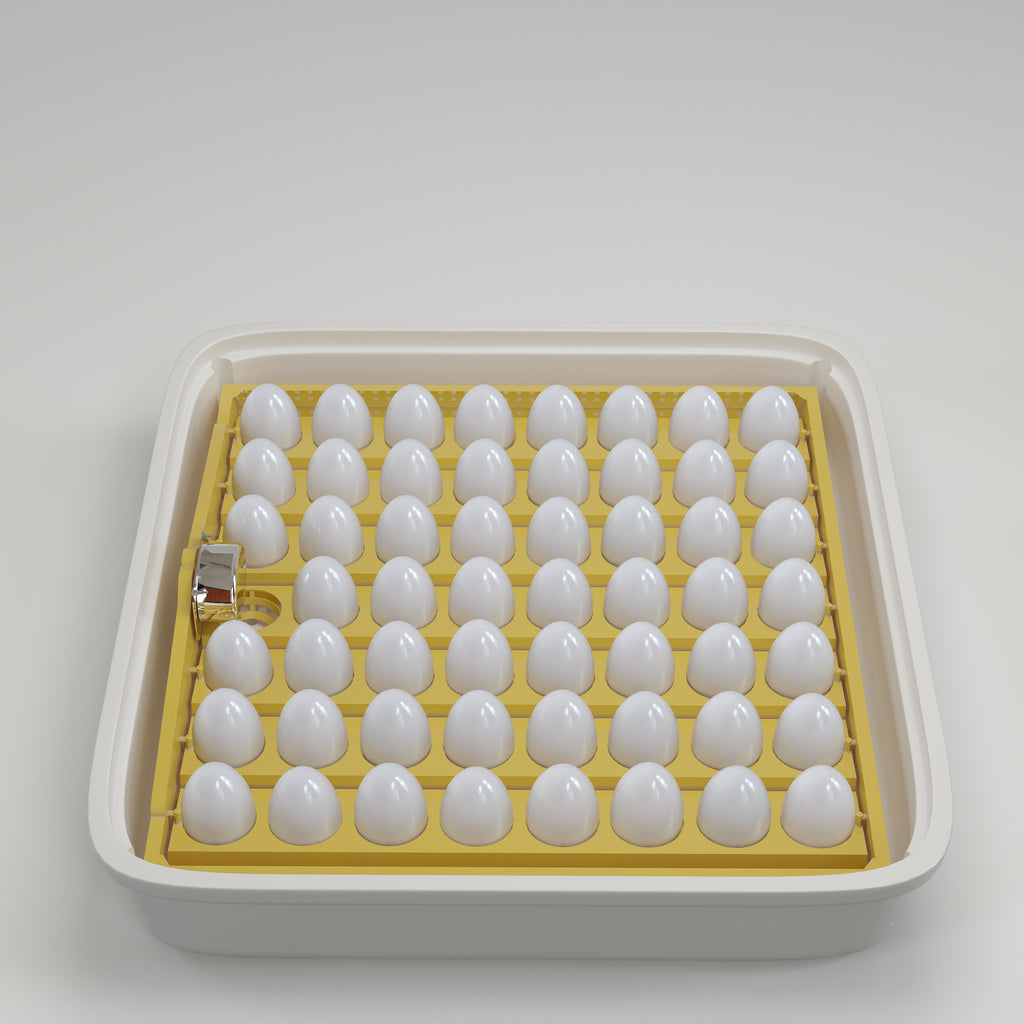 فقاسة بيض – الذهبي الجيل الأول بسعة ستٍ وخمسين بيضة (لبيض الدجاج فقط)
