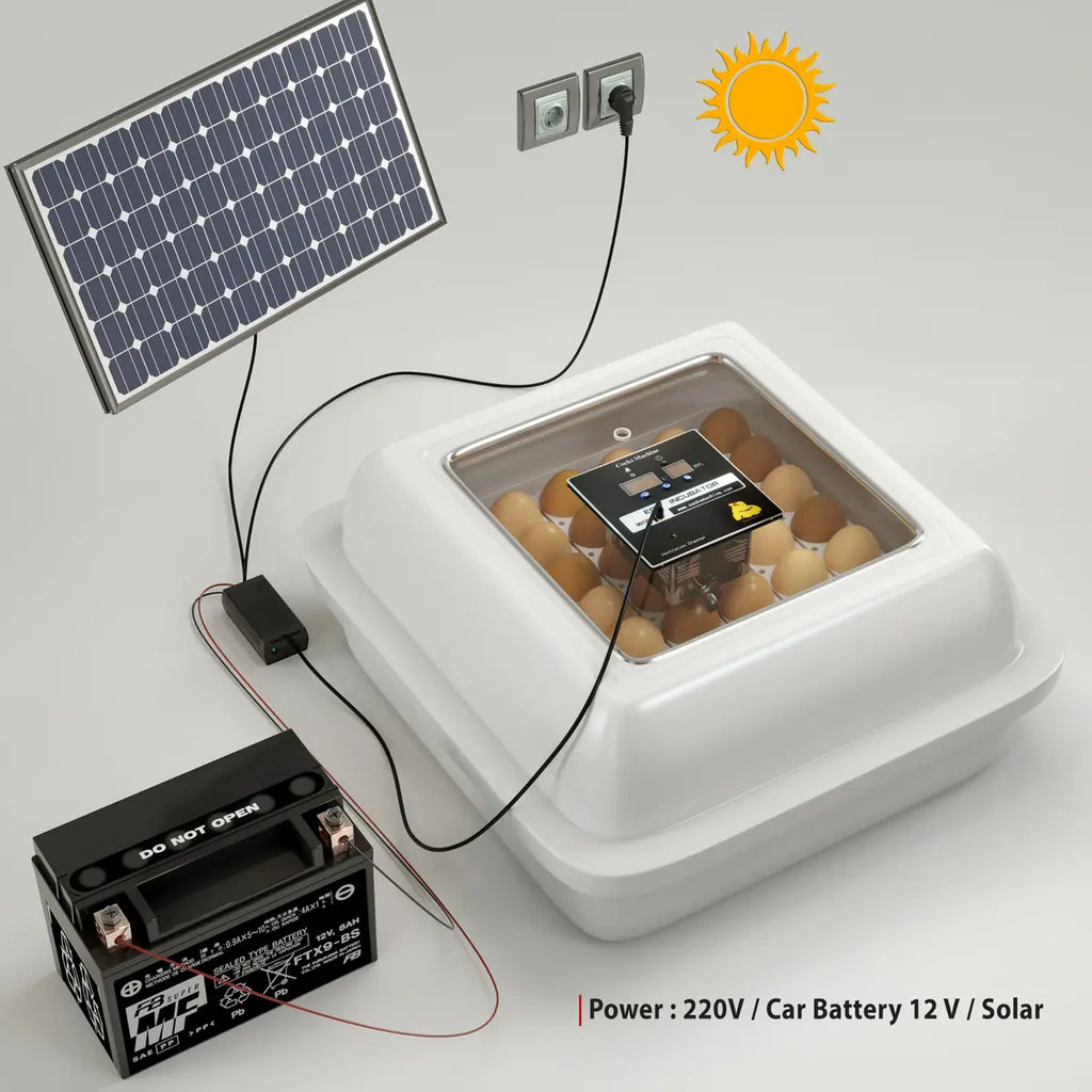 Chicken Egg Incubator – Golden Model (Up to 50 Eggs) with solar panel