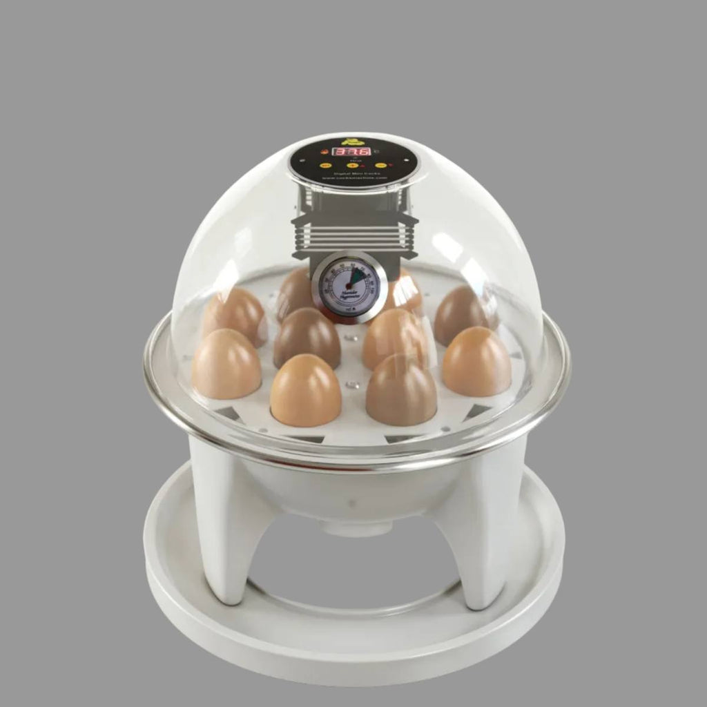Mini Egg Incubator – Lever Turn System - Automatic Temperature (10 Eggs) - front view