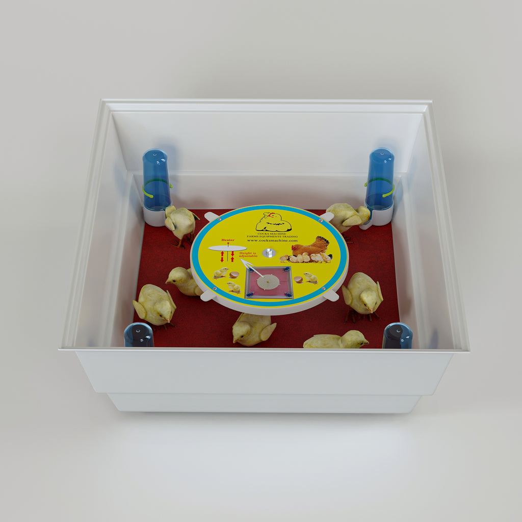 أم صناعية داخلية – حاضنة للكتاكيت والطيور الصغيرة
