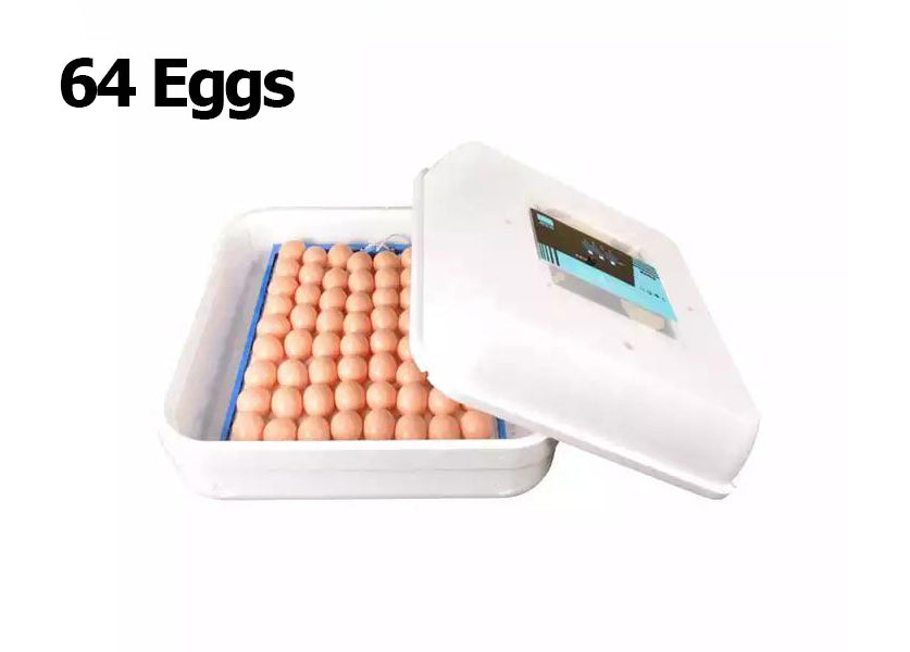 حاضنة بيض لجميع الأنواع – الذهبي G2 – سعة أربعٍ وستين بيضة