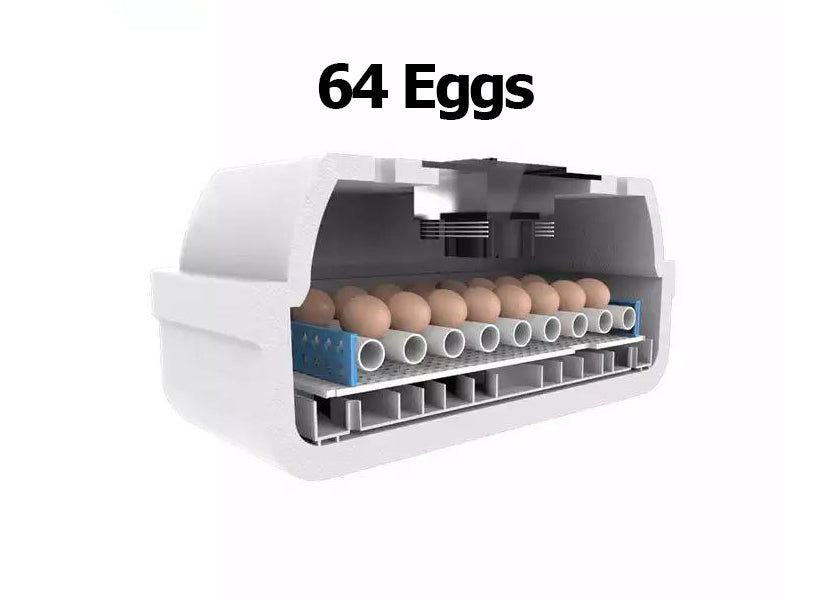 حاضنة بيض لجميع الأنواع – الذهبي G2 – سعة أربعٍ وستين بيضة